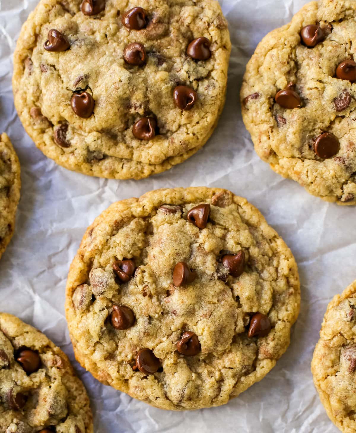 chocolate chip cookies